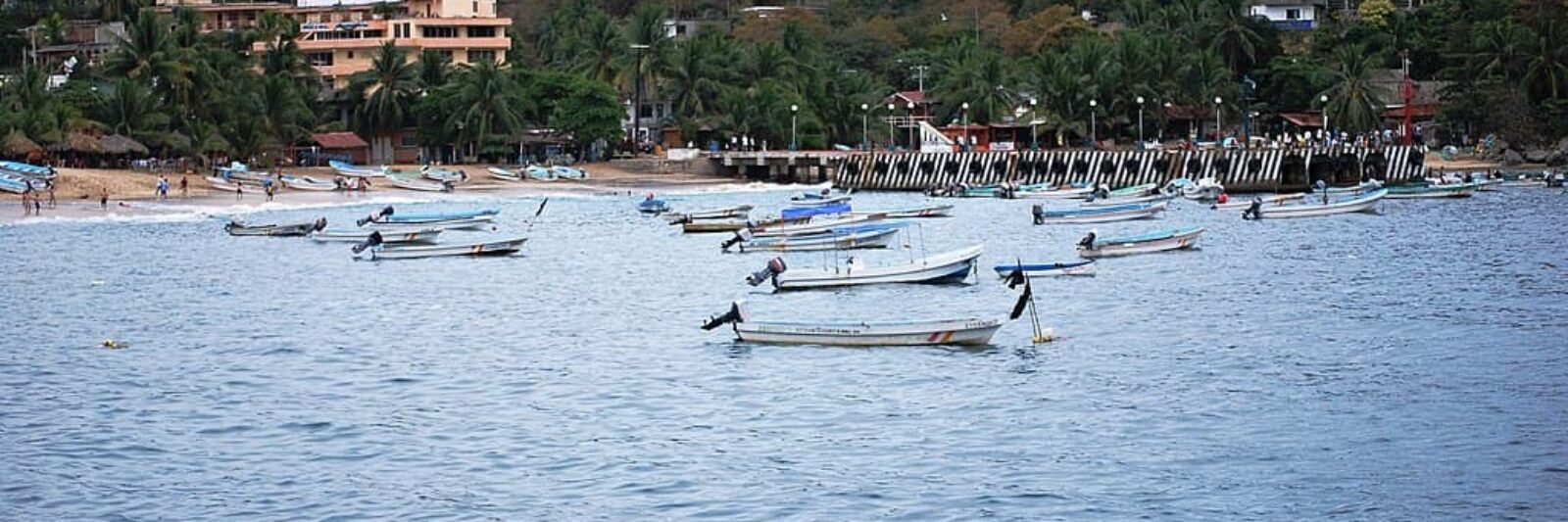 Puerto Angel Oaxaca