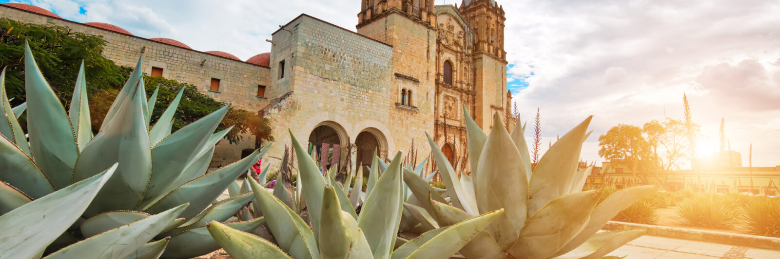 living in mexico