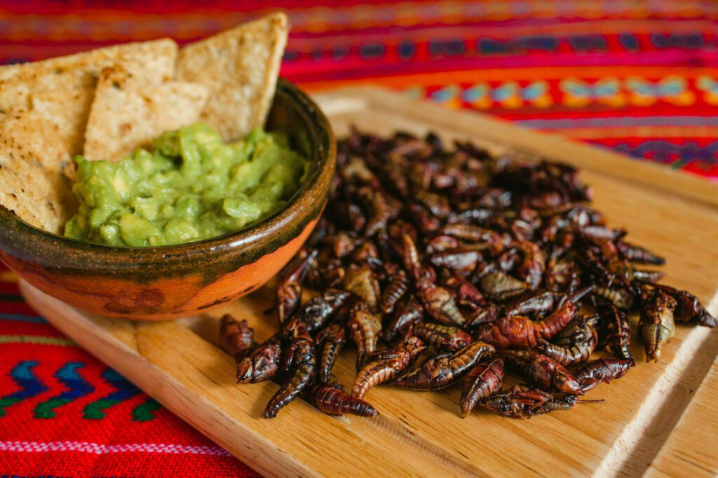 things to do in oaxaca