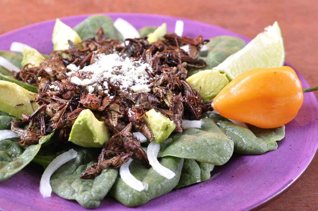 mexican snacks from oaxaca