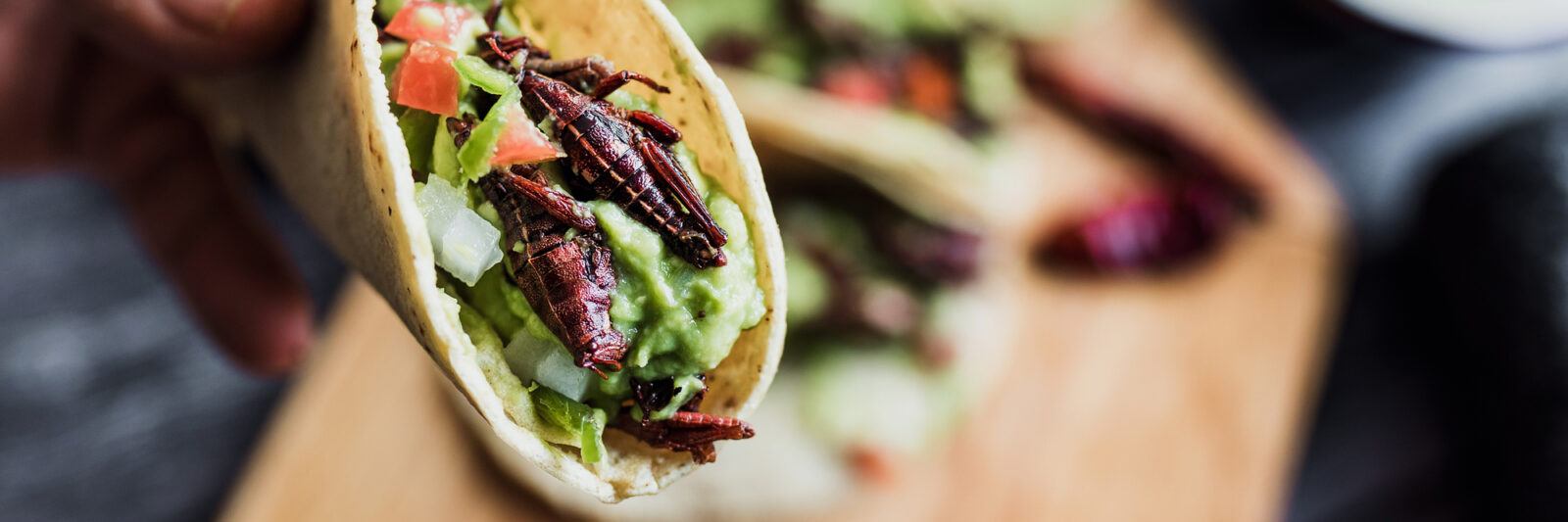 chapulines